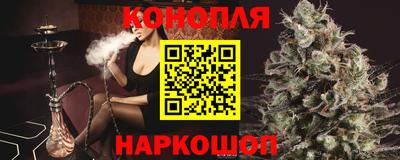 шишки Камышлов