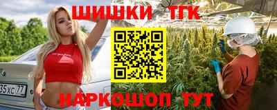 шишки Камышлов