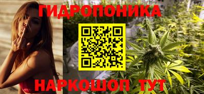 шишки Камышлов