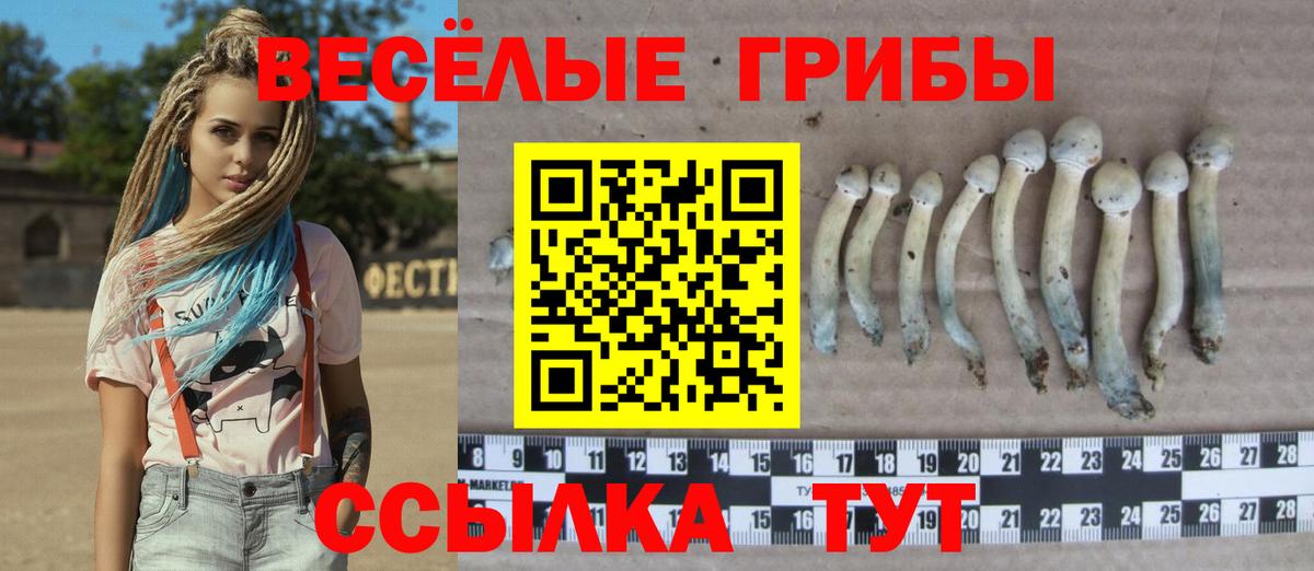 Галлюциногенные грибы GOLDEN TEACHER Луховицы
